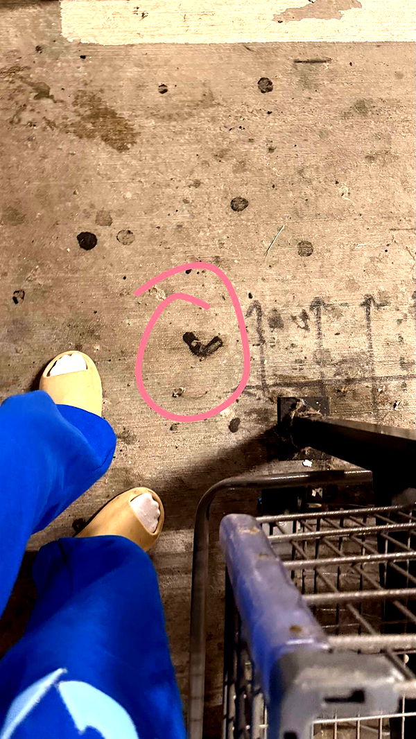 julia.filippo image ~ Altpins