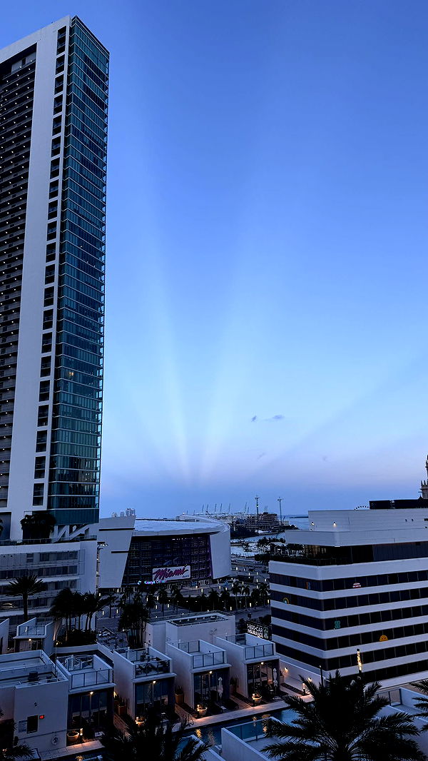 julia.filippo image ~ Altpins