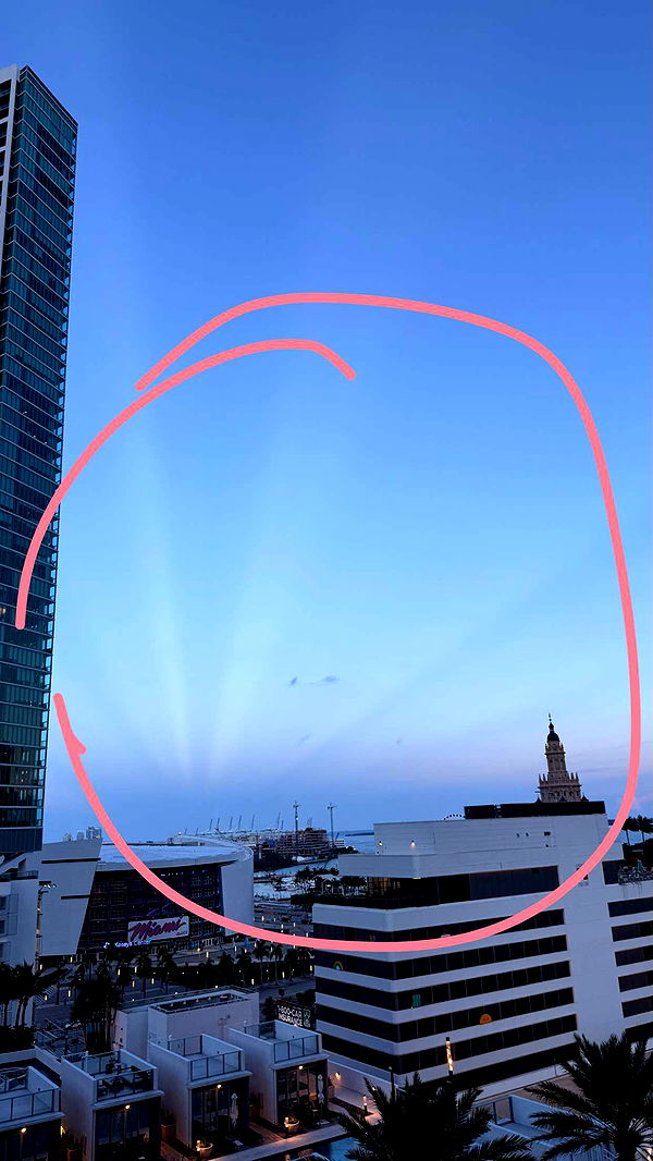 julia.filippo image ~ Altpins