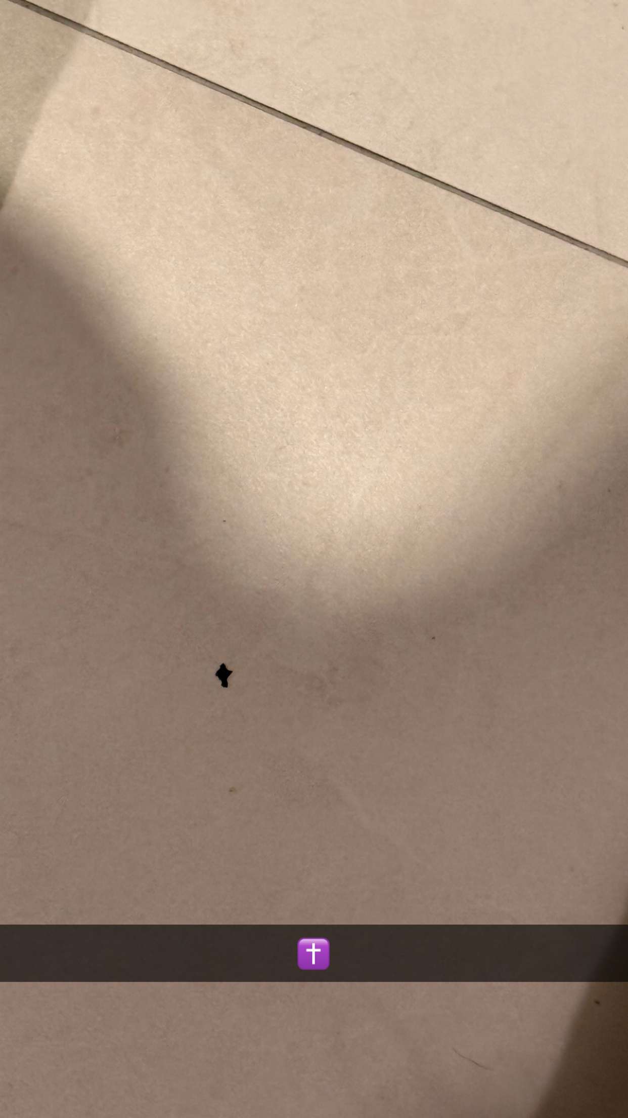 julia.filippo snapchat image archive image