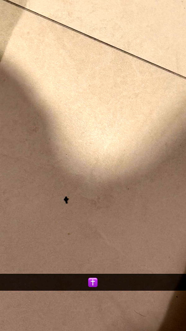 julia.filippo image ~ Altpins