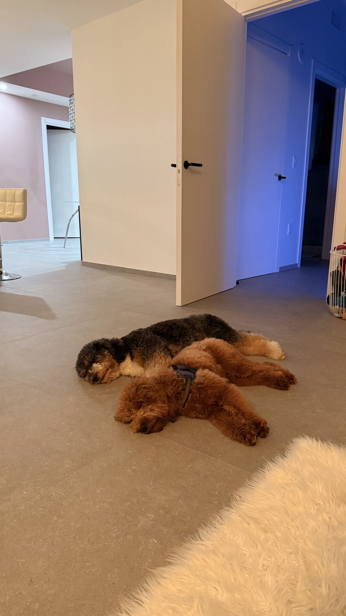 julia.filippo snapchat image archive image