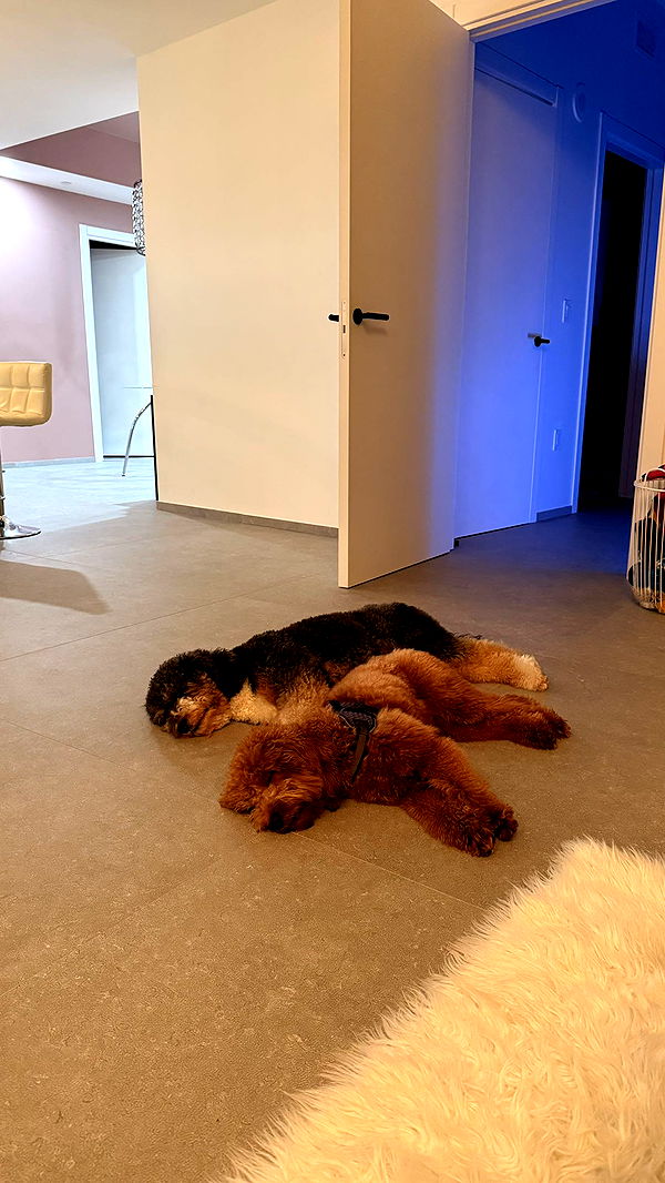 julia.filippo image ~ Altpins