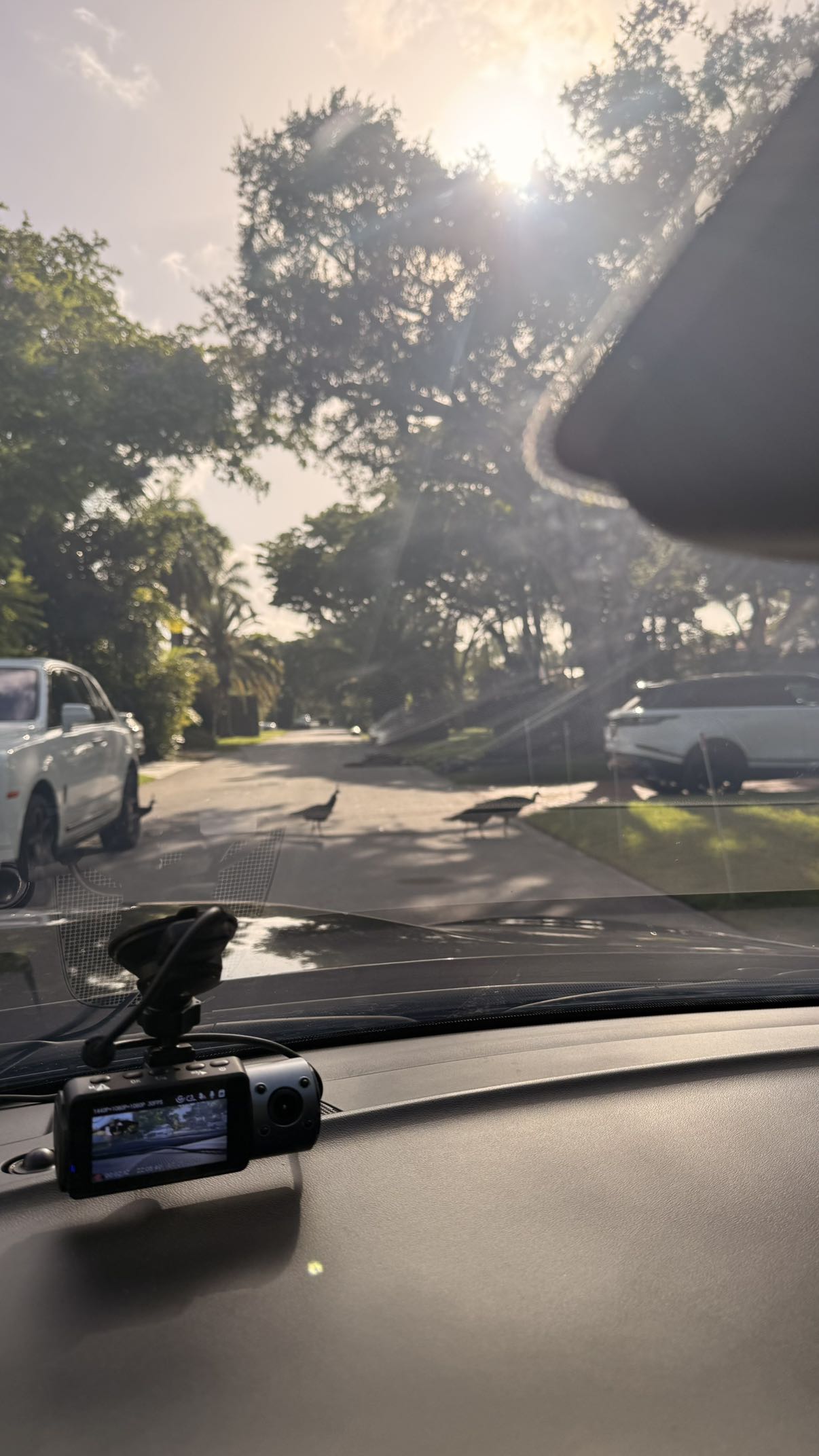 julia.filippo snapchat image archive image