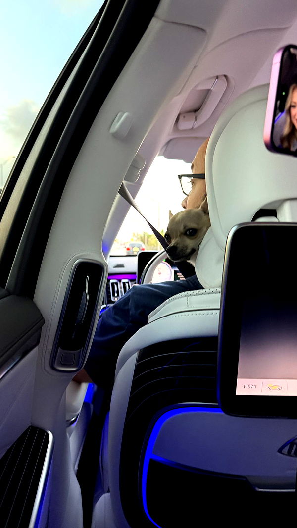 julia.filippo image ~ Altpins