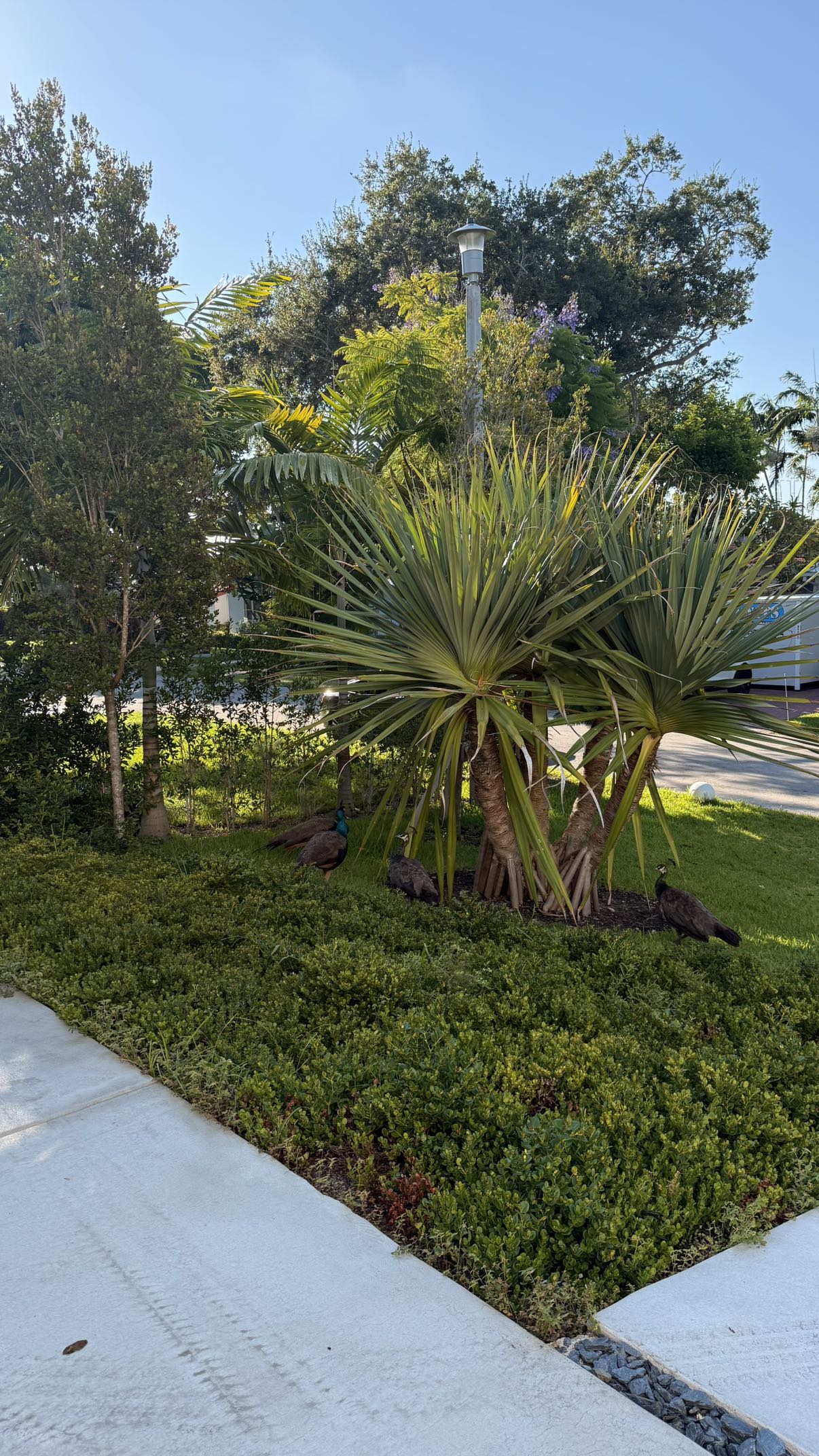 julia.filippo snapchat image archive image