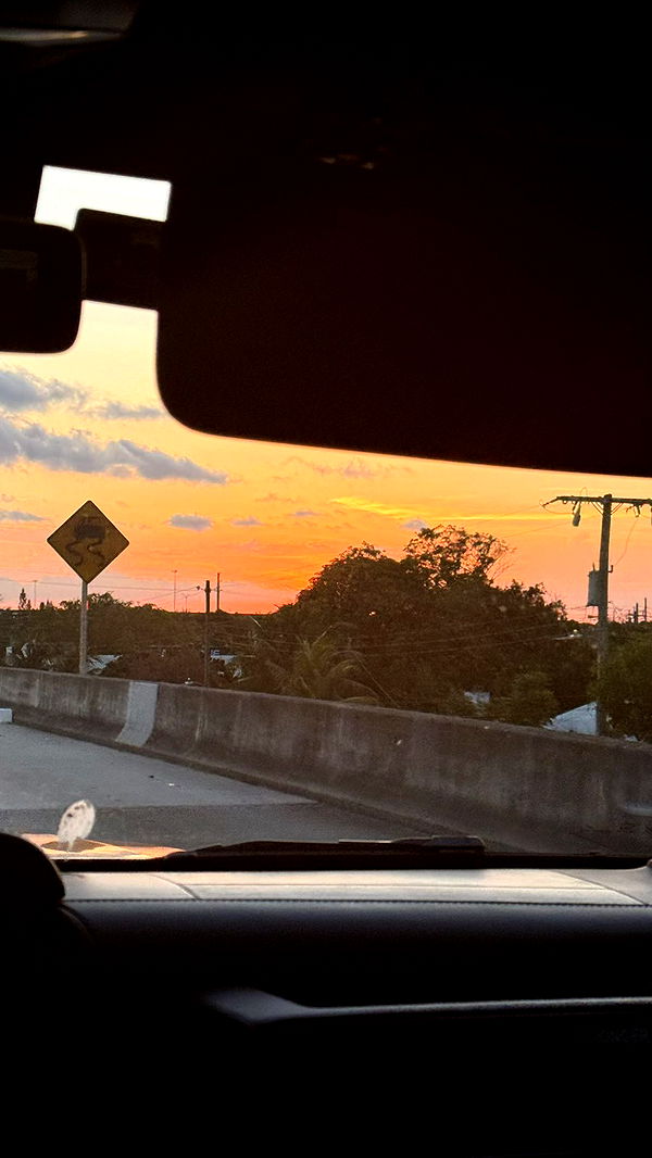 julia.filippo image ~ Altpins