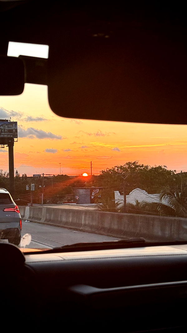 julia.filippo image ~ Altpins