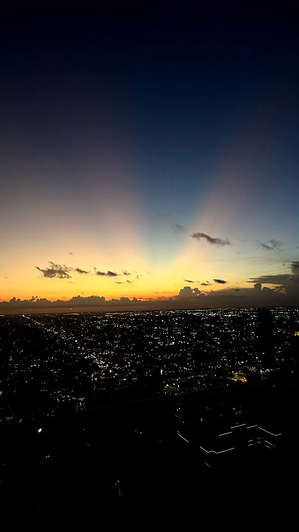 julia.filippo image ~ Altpins