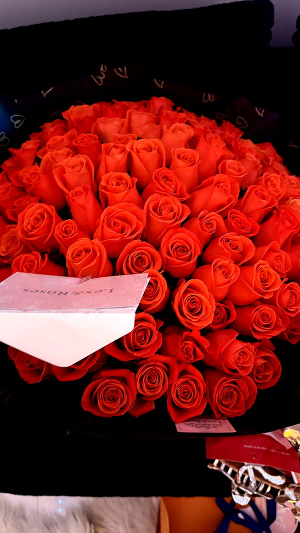 julia.filippo image ~ Altpins