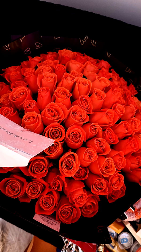 julia.filippo image ~ Altpins