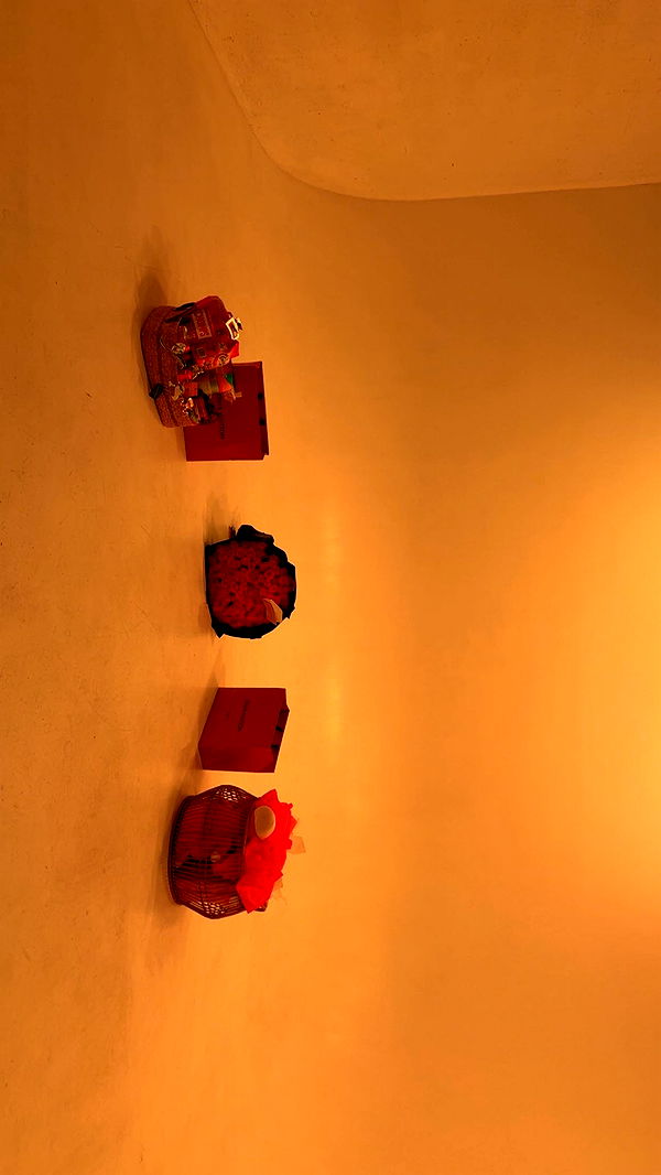 julia.filippo image ~ Altpins