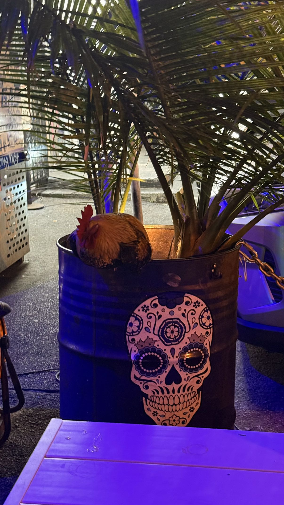 julia.filippo snapchat image archive image