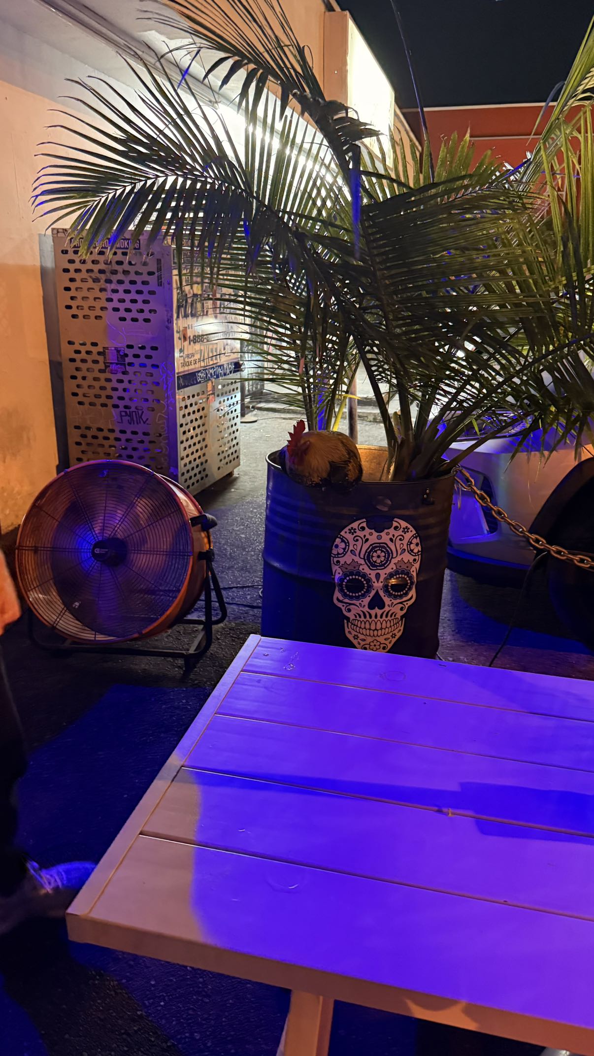 julia.filippo snapchat image archive image