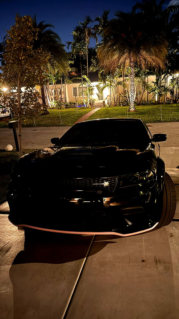 julia.filippo image ~ Altpins