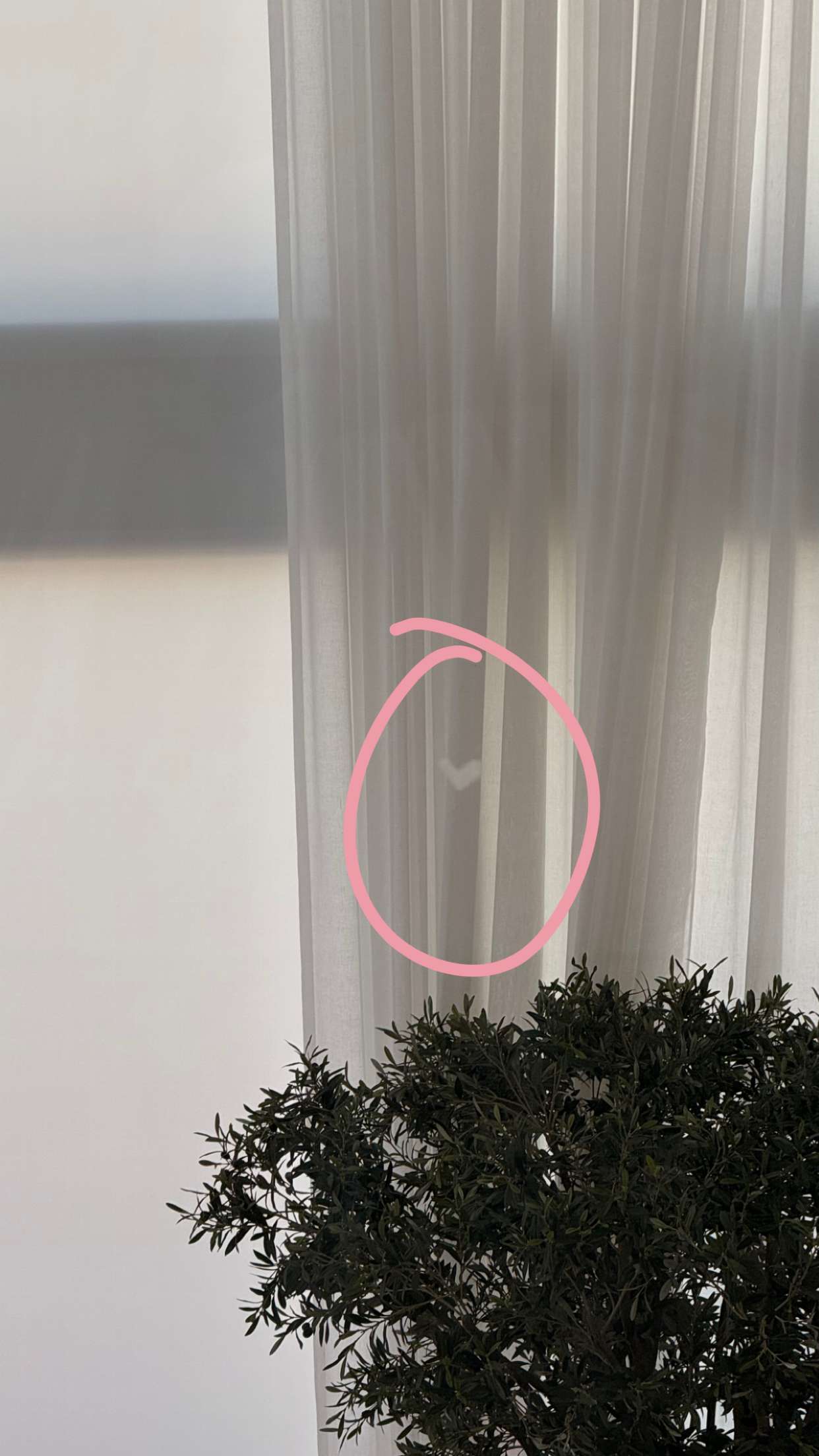 julia.filippo snapchat image archive image