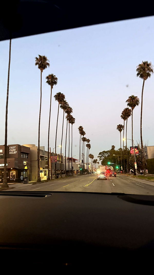 julia.filippo image ~ Altpins