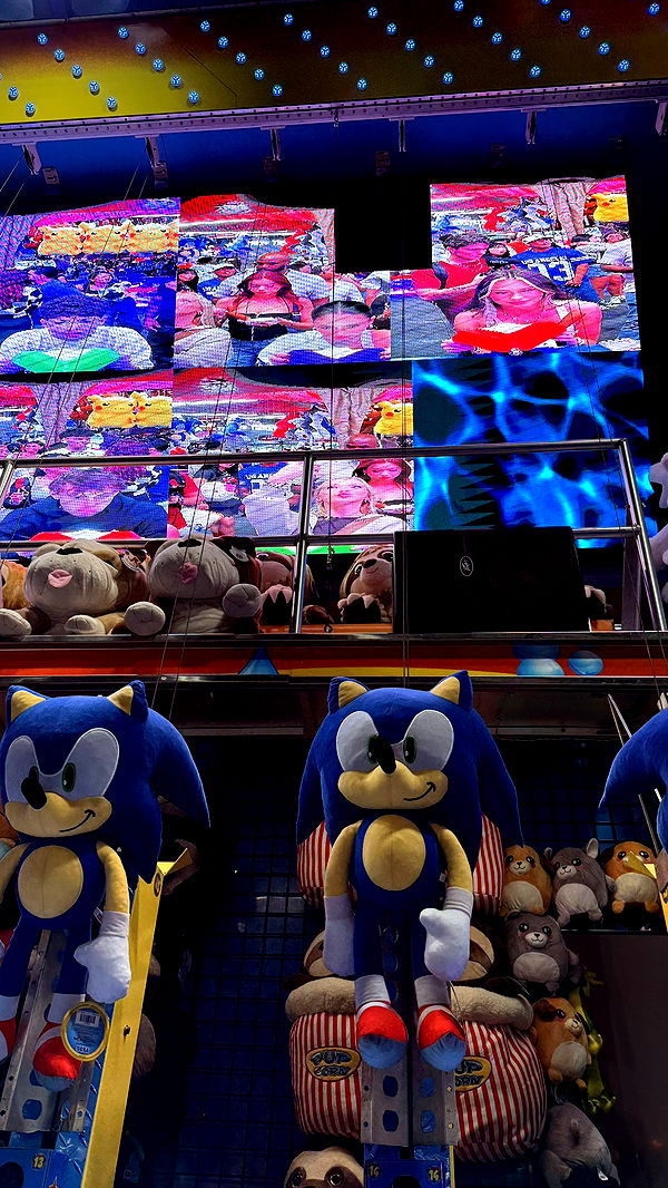 julia.filippo image ~ Altpins