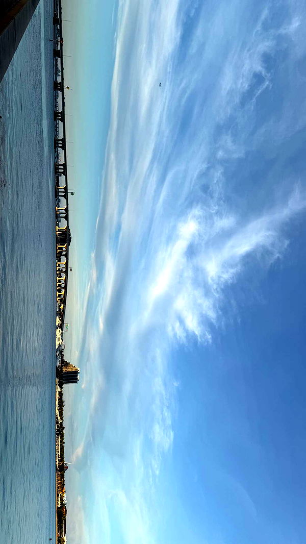 julia.filippo image ~ Altpins