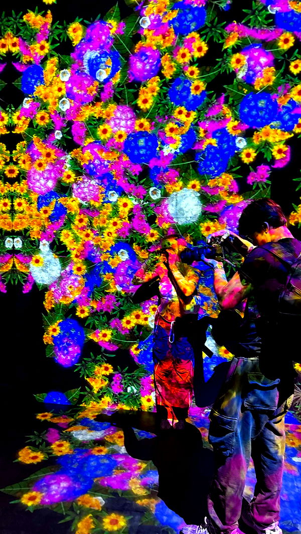 julia.filippo image ~ Altpins