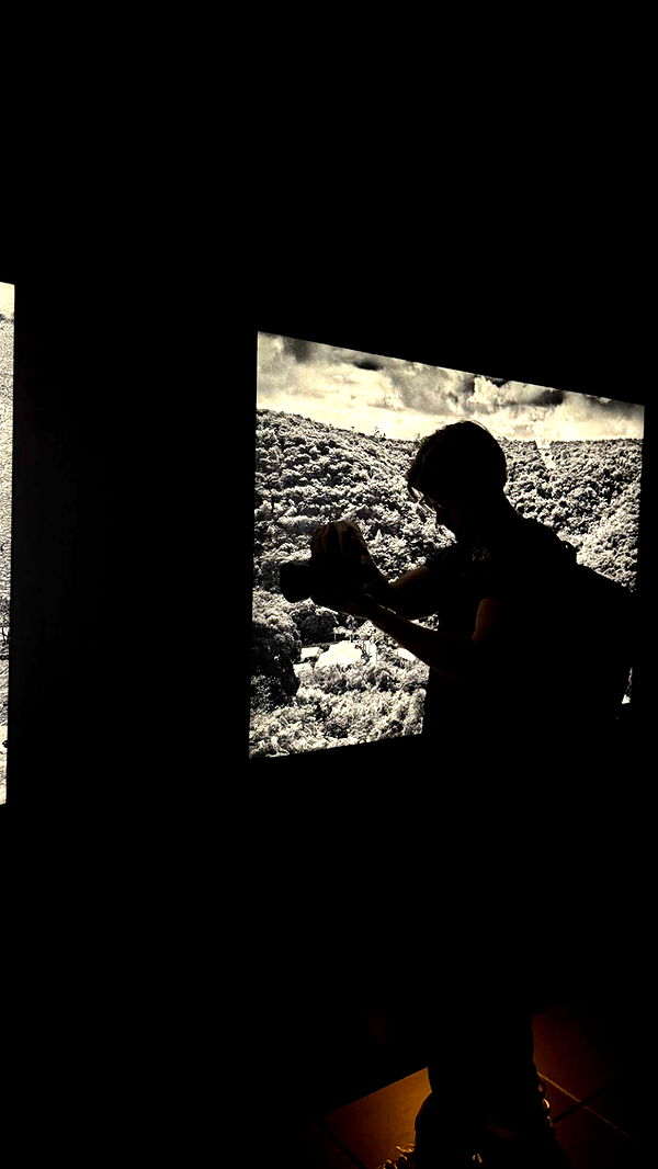 julia.filippo image ~ Altpins