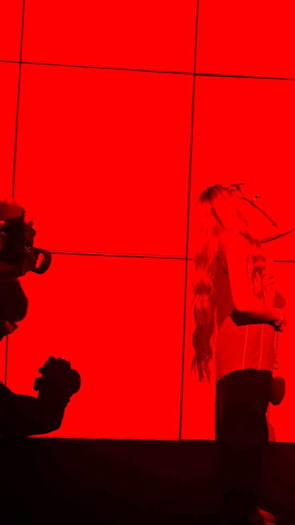 julia.filippo image ~ Altpins