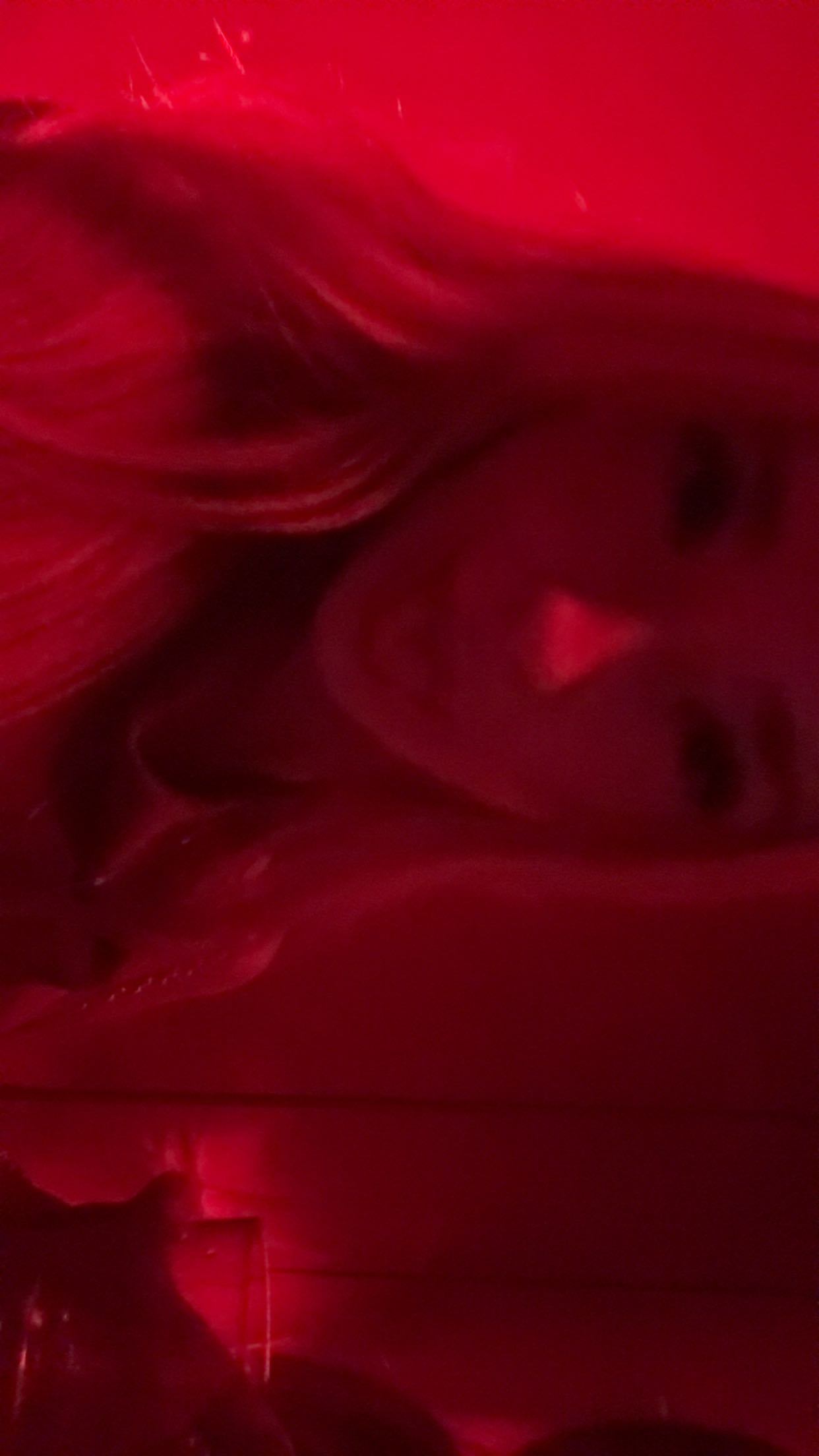 julia.filippo snapchat image archive image