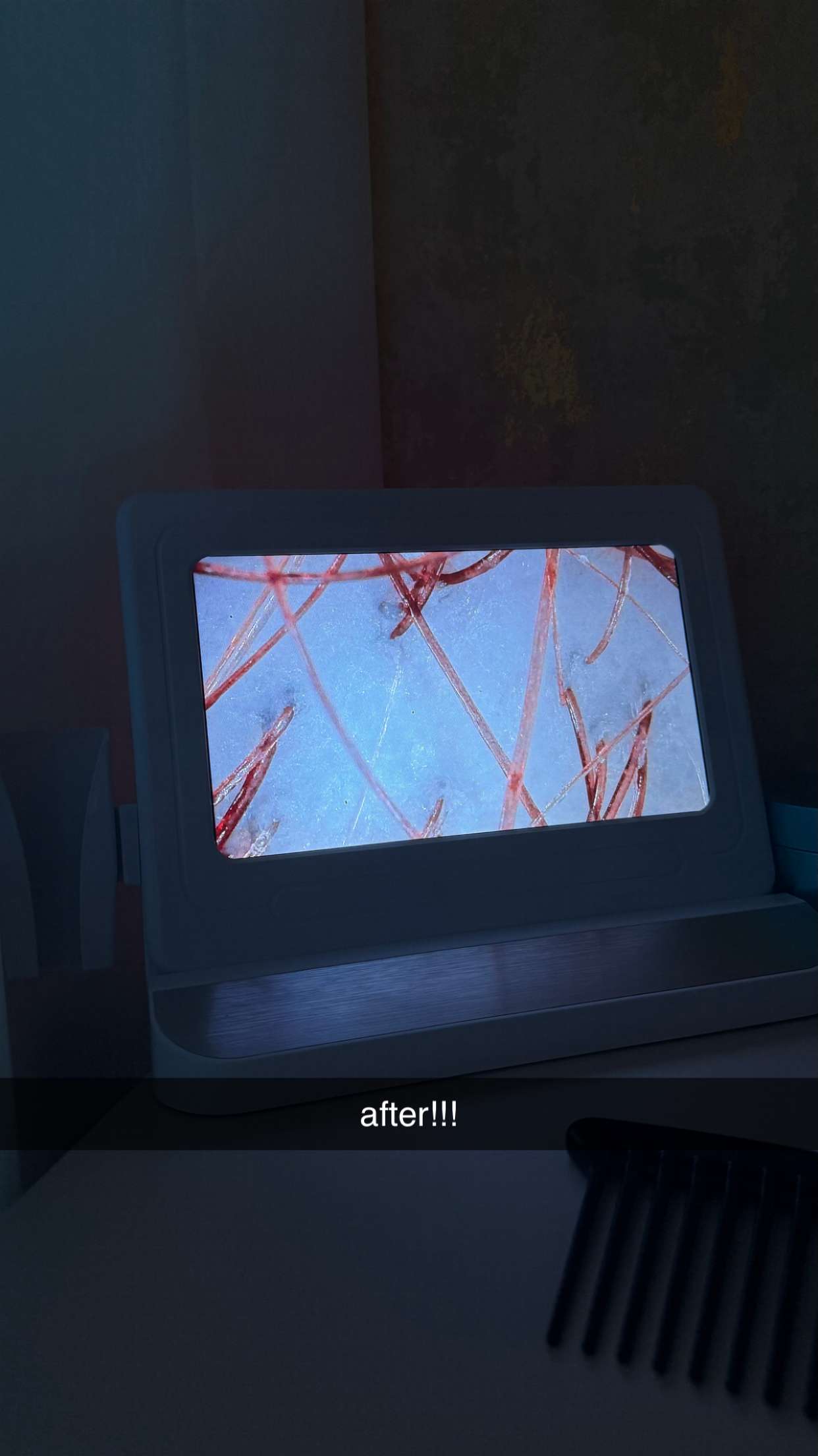 julia.filippo snapchat image archive image