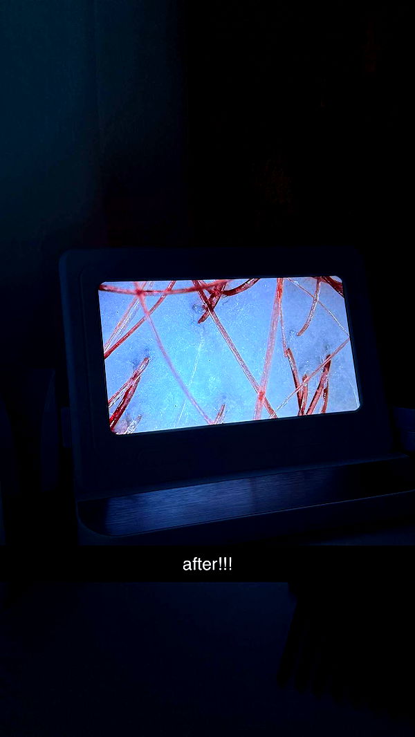 julia.filippo image ~ Altpins