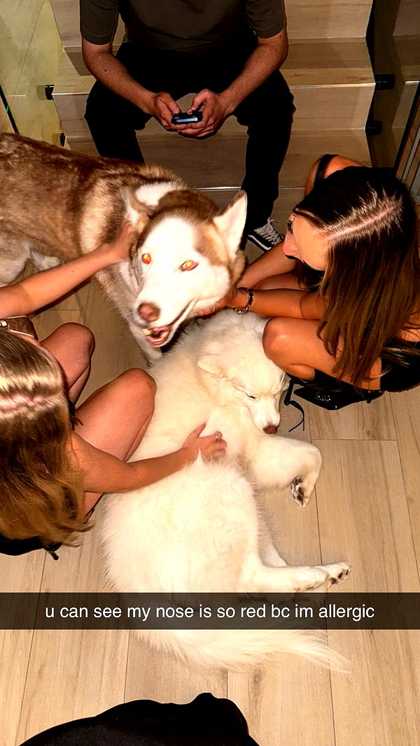 julia.filippo image ~ Altpins