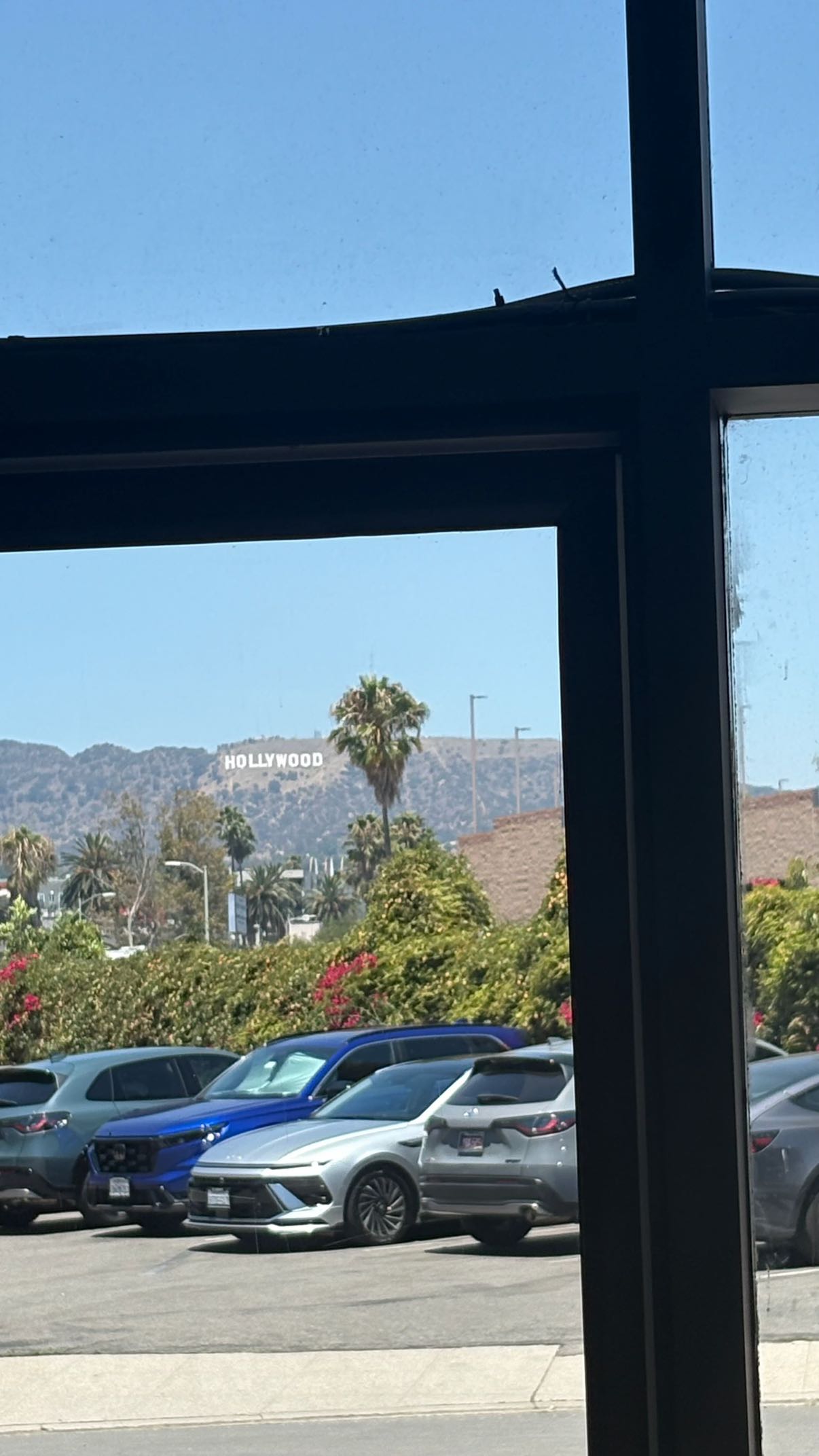 julia.filippo snapchat image archive image