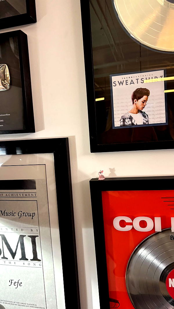 julia.filippo image ~ Altpins