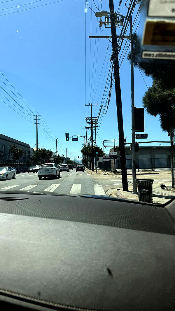 julia.filippo image ~ Altpins