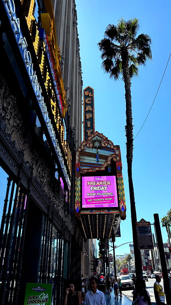 julia.filippo image ~ Altpins