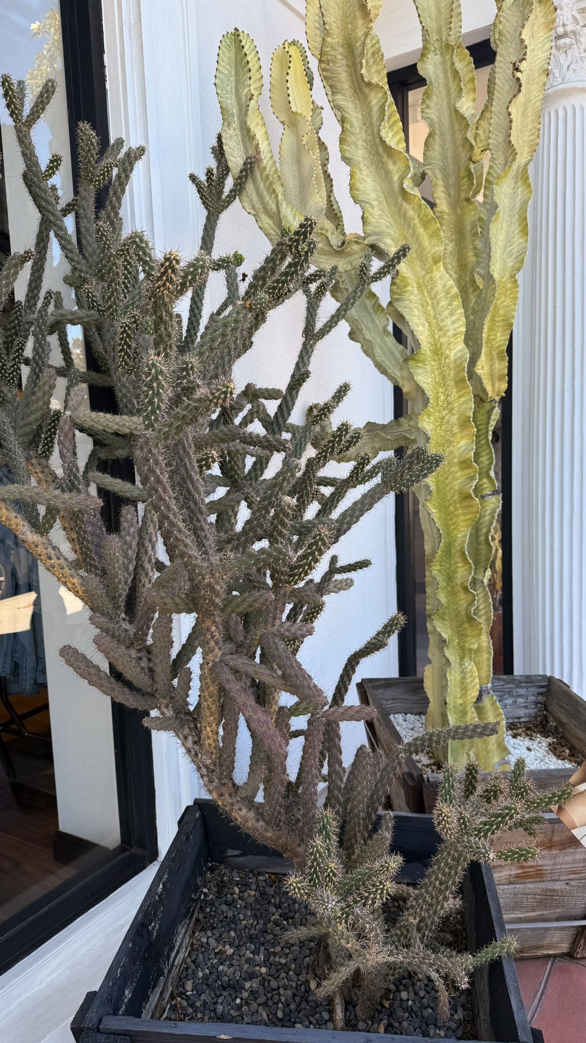 julia.filippo snapchat image archive image