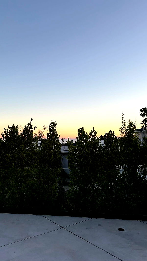 julia.filippo image ~ Altpins