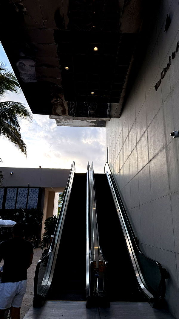 julia.filippo image ~ Altpins