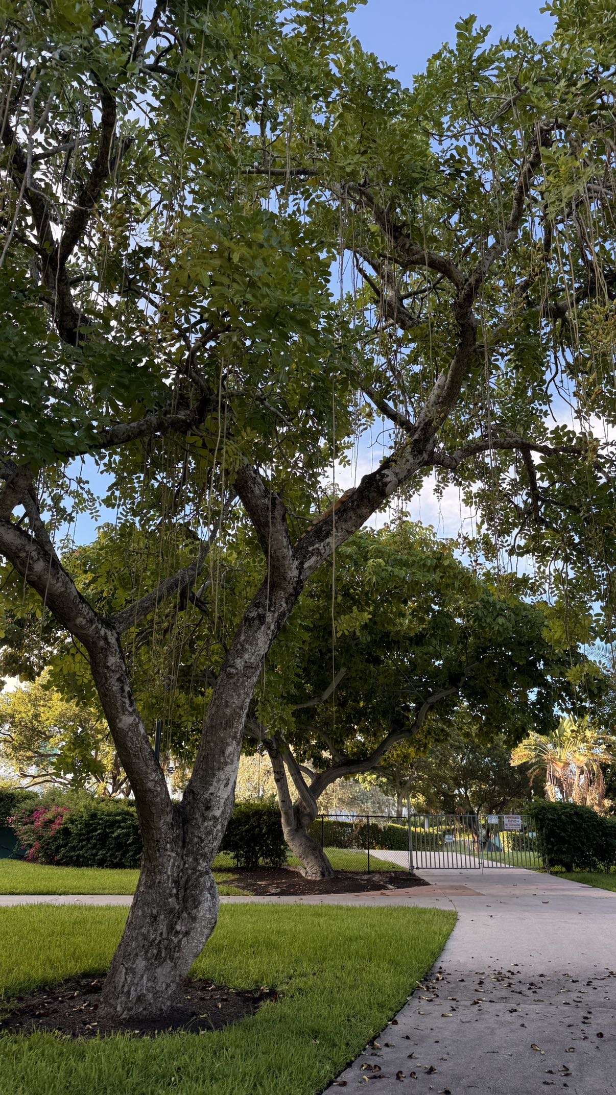 julia.filippo snapchat image archive image