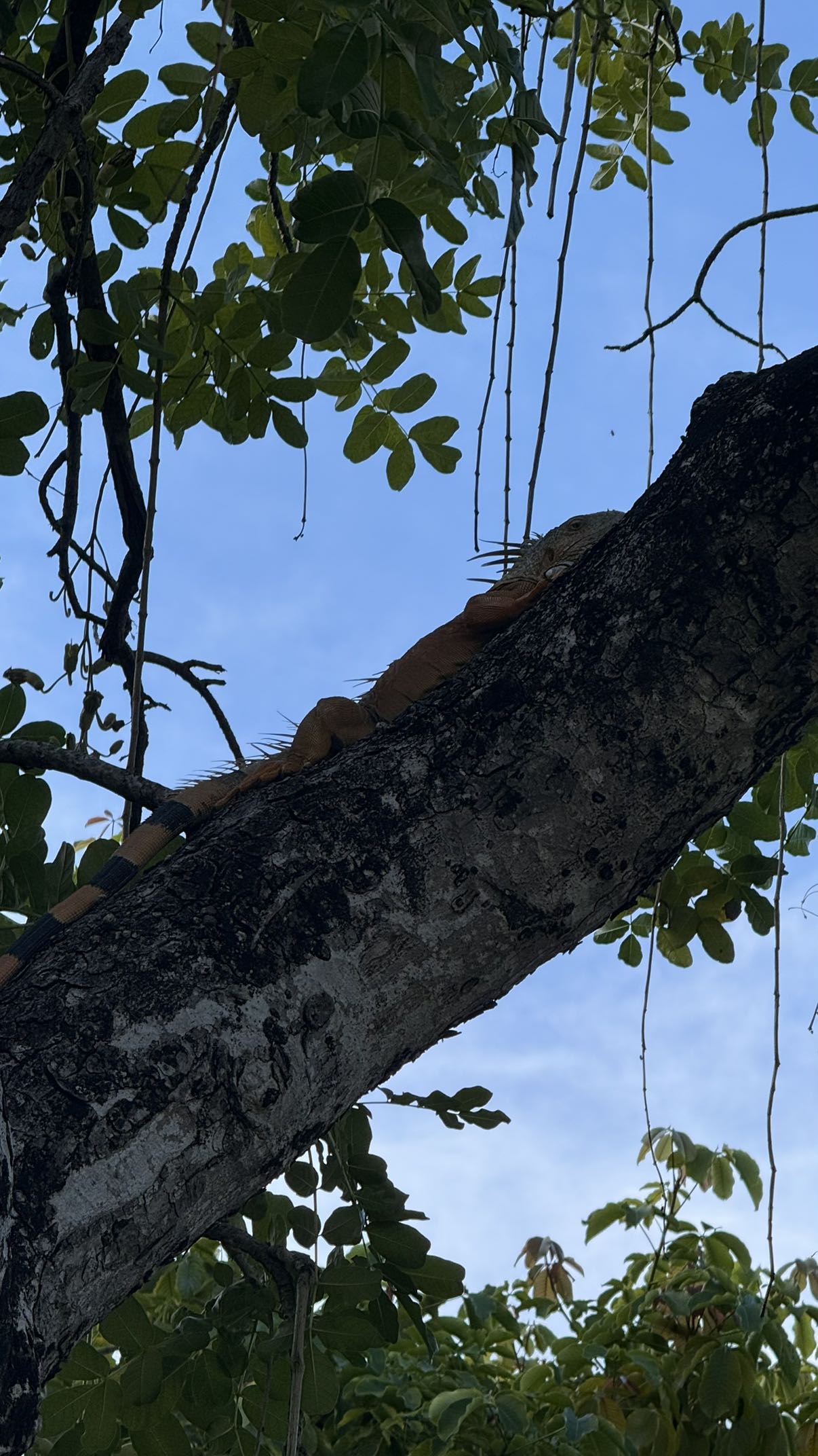 julia.filippo snapchat image archive image