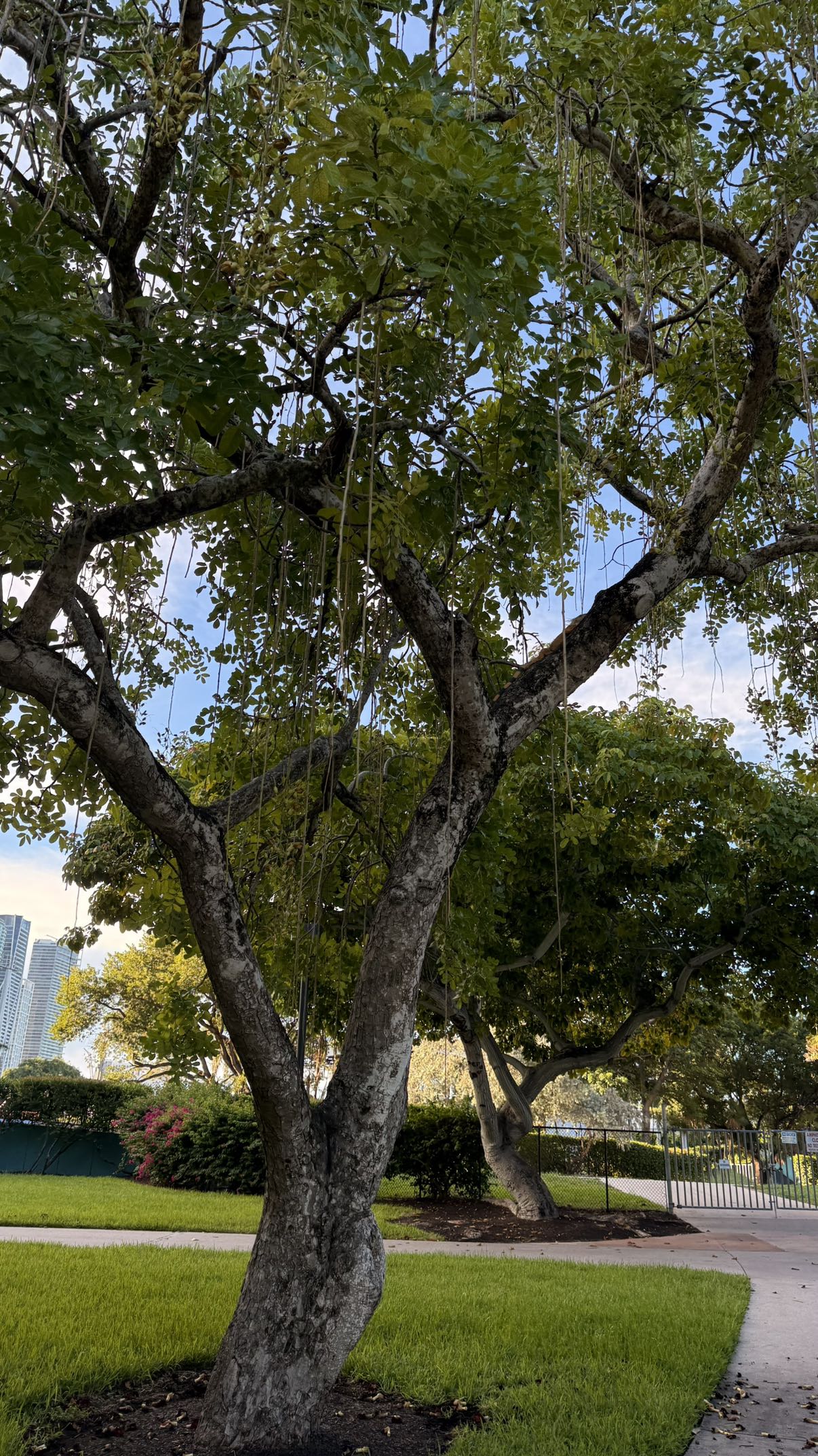 julia.filippo snapchat image archive image