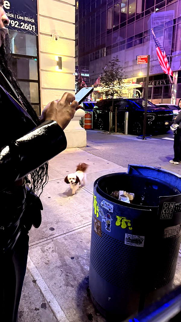 julia.filippo image ~ Altpins