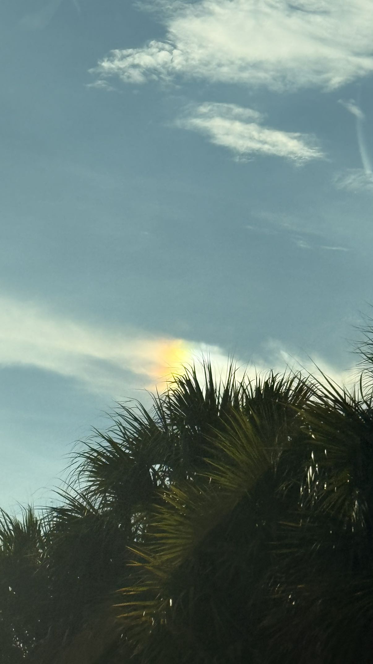 julia.filippo snapchat image archive image