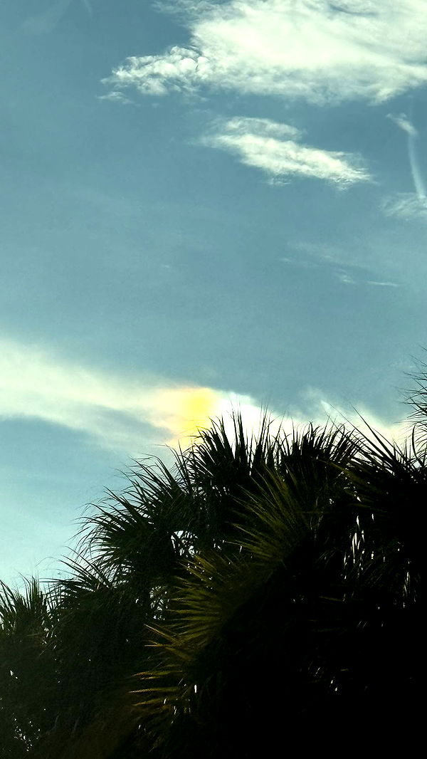 julia.filippo image ~ Altpins