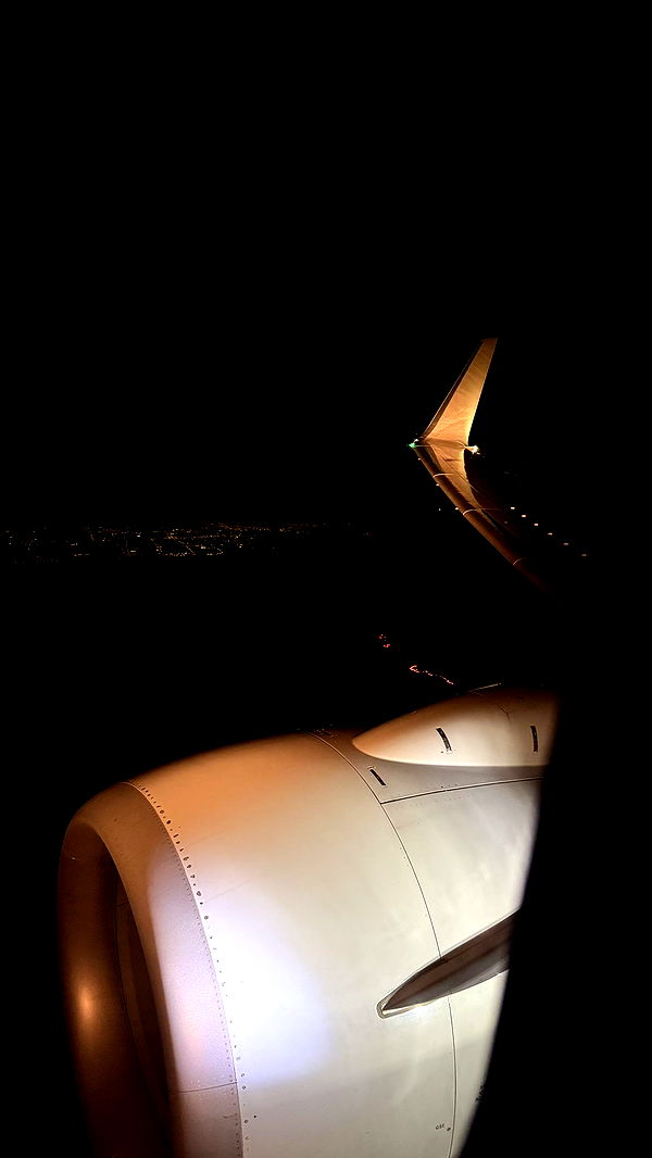 julia.filippo image ~ Altpins