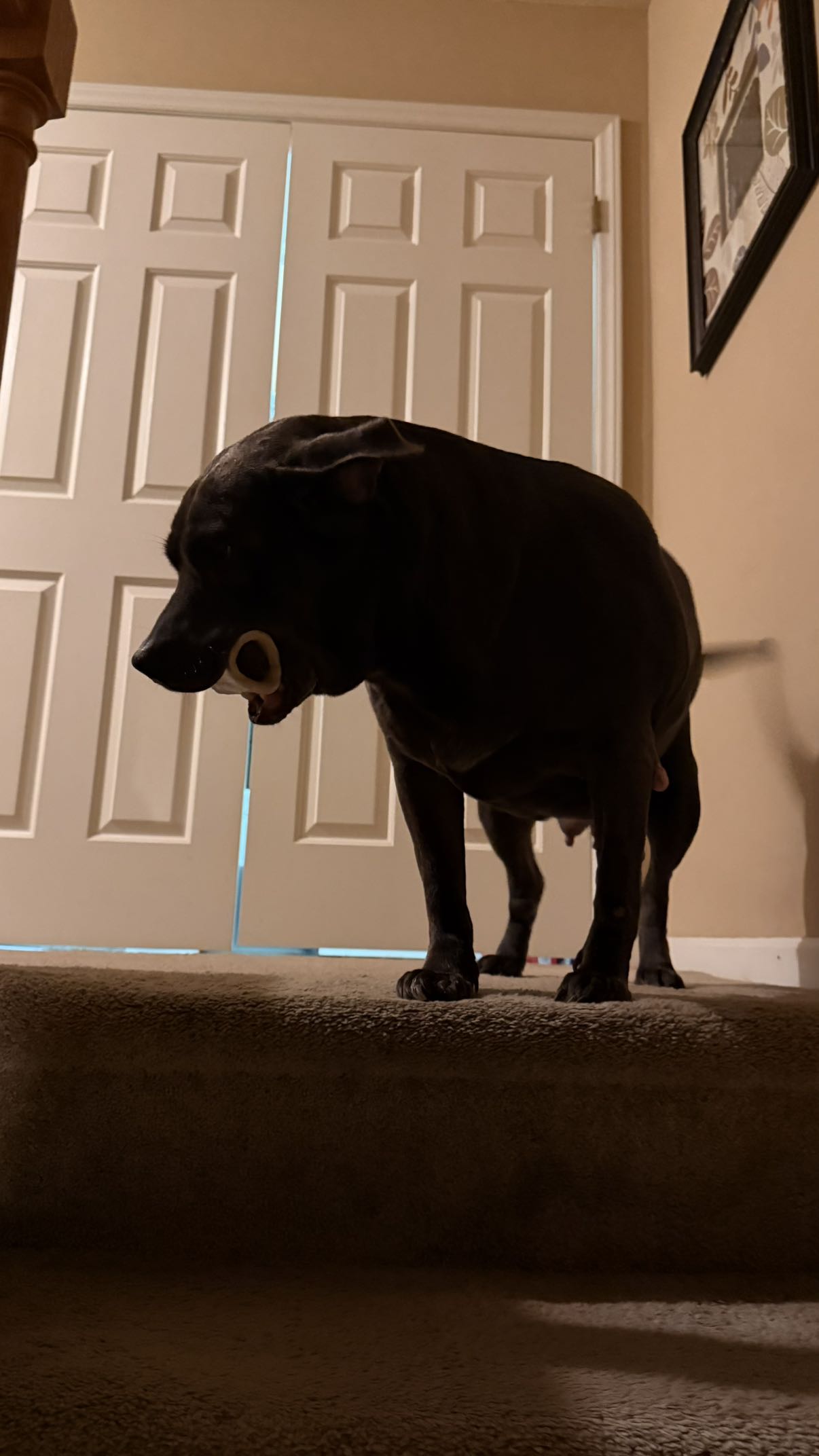 julia.filippo snapchat image archive image