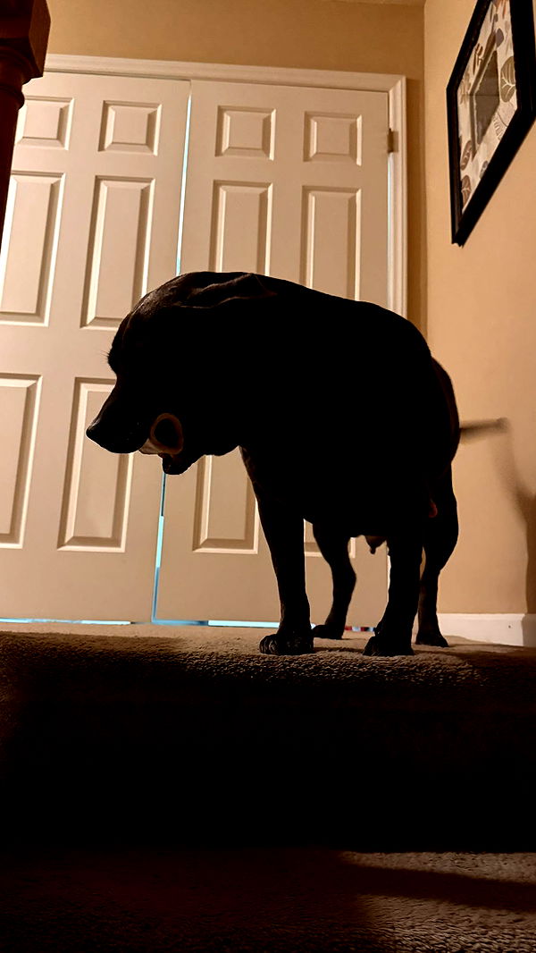 julia.filippo image ~ Altpins