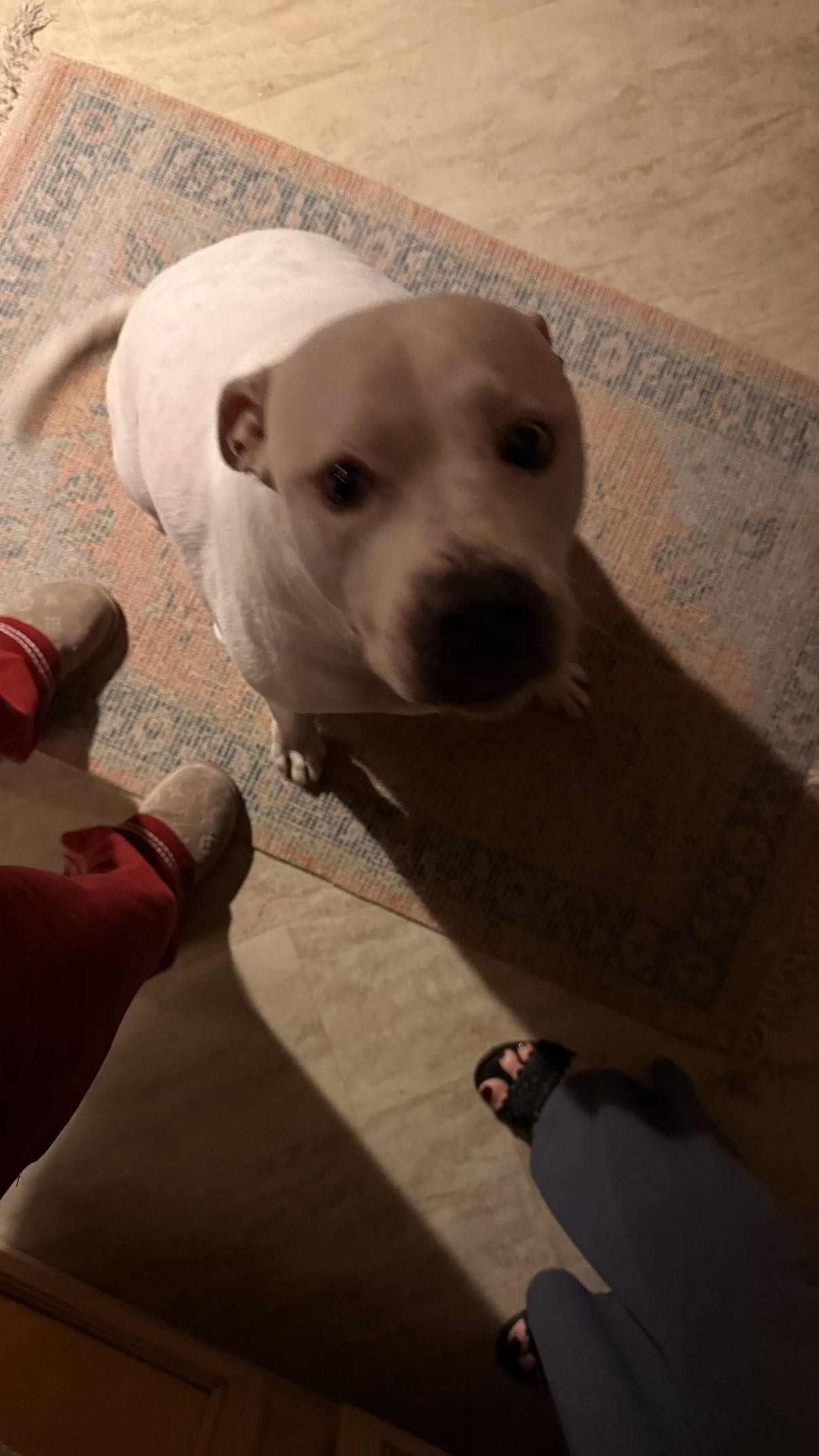 julia.filippo snapchat image archive image