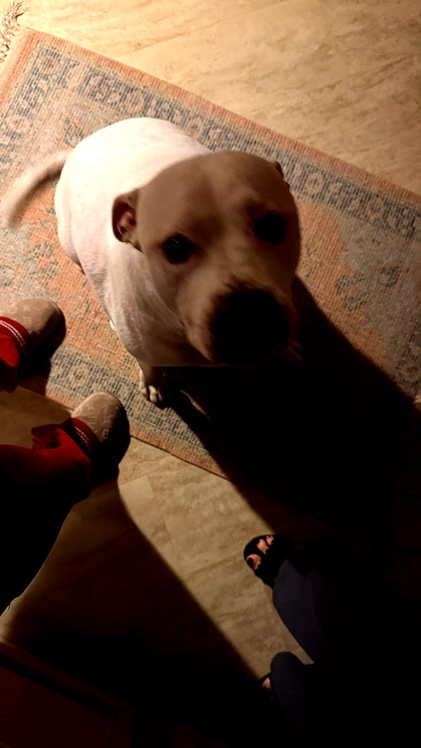 julia.filippo image ~ Altpins