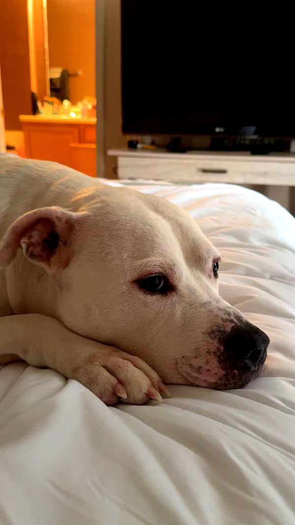 julia.filippo image ~ Altpins