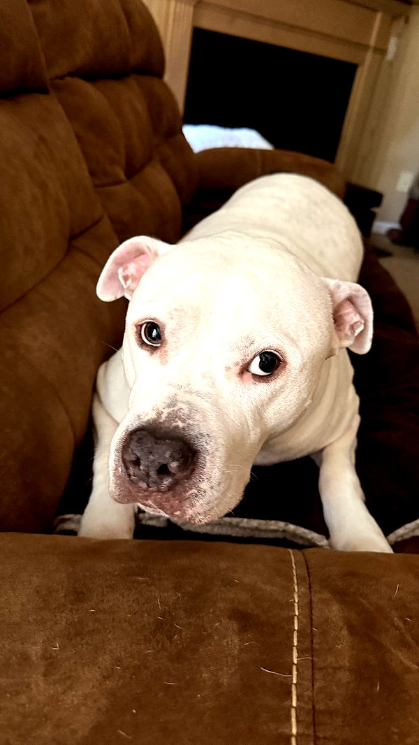 julia.filippo image ~ Altpins